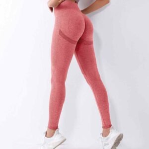 شورت قتال MMA RUXI sd1726